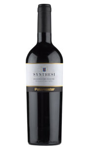 Paternoster SYNTHESI DOC